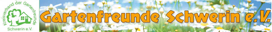 Headerbild Blumen